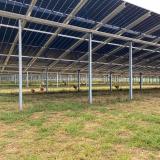 Solarpanel Unterseite